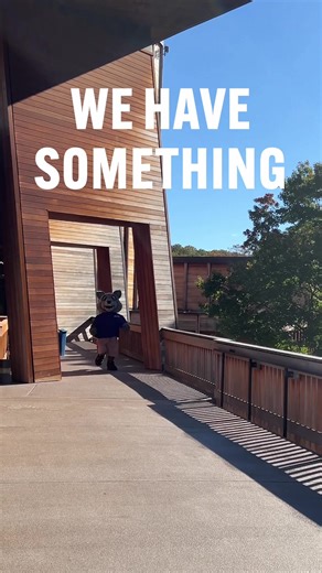 Summer shows are on sale now! BRB, we've got tickets to buy. Wolf Trap | Summer concerts | DC concerts | Live music in the DMV | Concert experience | DMV events | Things to do in DC