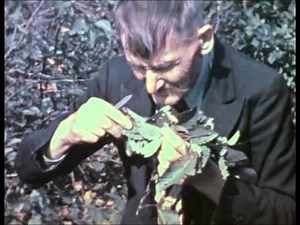 Alan Lomax recordings of UP Finns 1938.