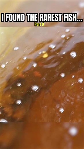 RawwFishing on Instagram: "I found the rarest fish… Part 8 of 11!"