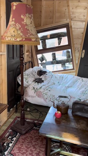 Explore the Wild Side at Victoria Square in Belfast