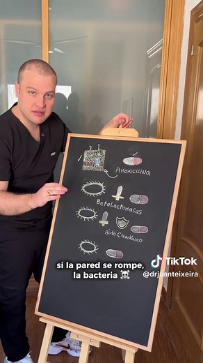 Amoxicilina y ácido clavulánico: todo lo que necesitas saber
