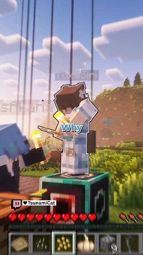 22K views · 1.9K reactions | HE NEEDS TO WORK ON HIS RIZZ #gaming #funny #gamingclips #minecraft #twitchstreamer #streamer | TsunamiCat | Facebook