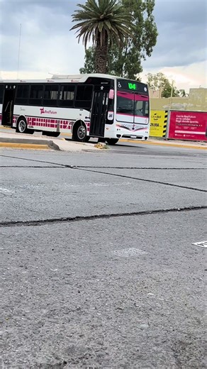 Exploring the Fiat 147: A Unique Journey