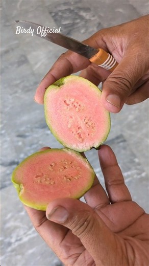 Guava Harvesting #kitchengarden #guava #homegarden #harvest #fruit