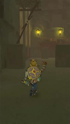 After you defeat Master Kohga, go back into the Yiga Hideout to find these Gold Rupees #zeldabotw