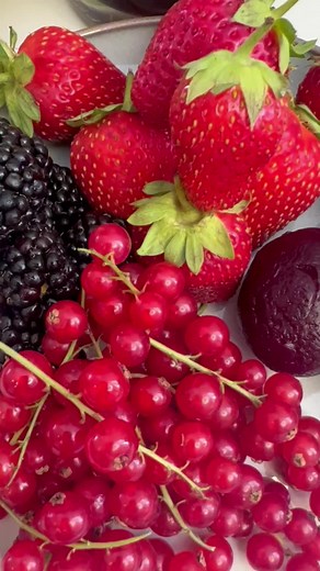 OSU red smoothie #smoothie #morningroutine #vegan #vegansmoothie #osu #osuacv #applecidervinegar #acv #veganinsta #japan