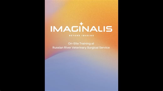 CT training comes in many forms. Even rotisserie-ready. 🍗 From understanding basic positioning to preparing for more advanced studies, hands-on practice plays a key role in getting comfortable with advanced imaging workflows using Vimago™. Thanks to Russian River Veterinary Surgical Service for sharing a look at their CT training process, and to Jaclyn from our IVAS team for bringing hands-on learning and a little fun to training day. #VeterinaryImaging #CTTraining #VetMed #VetTech #DiagnosticI