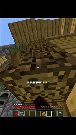 Minecraft Random Item Speedrun..😱