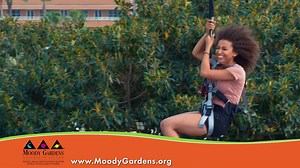 1.4K views · 747 reactions |  Spring Break is in full swing here at Moody Gardens! ☀️ With new films and exhibits, there's plenty to explore. 練 Plan your trip here: https://bit.ly/3cJtxJT | Moody Gardens | Facebook