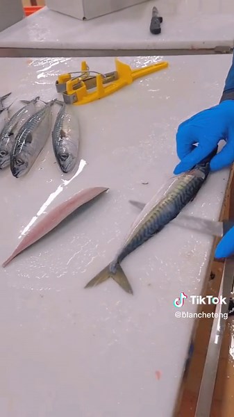 Mastering Fish Filleting Techniques for Beginners