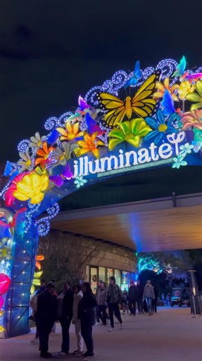 Step into a glowing nighttime wonderland at Illuminate at the San Antonio Botanical Gardens 🌿✨ From vibrant light installations to magical pathways, this immersive experience transforms the gardens after dark into something truly unforgettable. If you’re looking for festive things to do in San Antonio or unique night experiences, this one belongs on your list. 👉 Follow along on our YouTube channel for more family adventures, hidden gems, and unforgettable moments. Link in the bio! | On the Tra