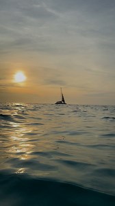 In case you needed convincing to come visit. 👀 #Weather #WeatherReport #Aruba #Travel #Caribbean | Aruba