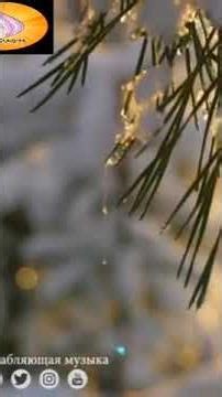 Relaxing Piano Music for Studying 📚 Calm Background Music for Work