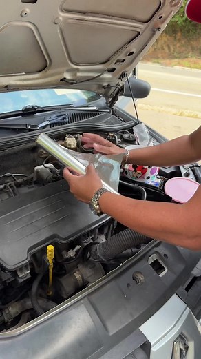 Removendo o Cheiro de Cachorro Molhado do Carro