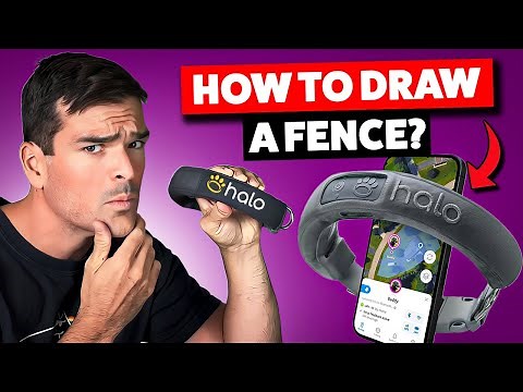 How To Set Up Fences With The Halo Collar 3 (Not Too Small!)