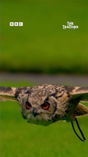 4 Days To Go... - BBC