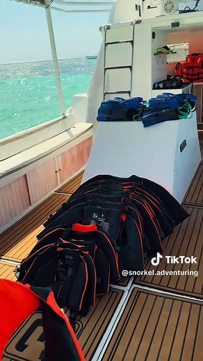 Snorkeling Adventure on TikTok