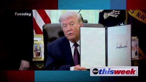 George Stephanopoulos claims Trump wants to 'sow doubt' on elections