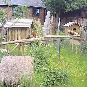 1.4M views · 40K reactions | We're thrilled to announce the birth of...