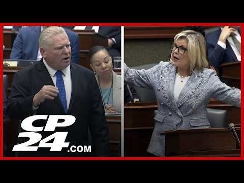 Ford personally insults Liberal critic Stephanie Smyth, sparking calls for apology