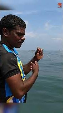 Catching Queen Fish & Horse Mackerel in the Deep Sea #fishing #fishingvideo #fishingtime
