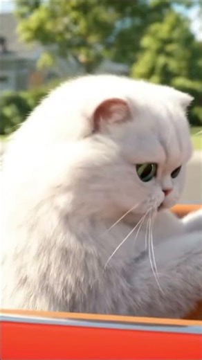 Hilarious Cat Driving a Car — Funniest Cat Driving Scene Ever!