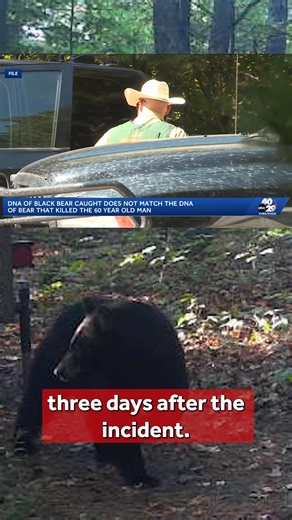 DNA tests show the bear Arkansas biologists euthanized earlier this year is not the same bear that killed a man at a campground in the Ozark National Forest. http://www.4029tv.com/article/bear-dna-arkansas/69138849 | 40/29 News -- Fort Smith & Fayetteville, Arkansas