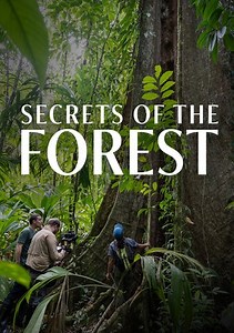NOVA: Secrets of the Forest