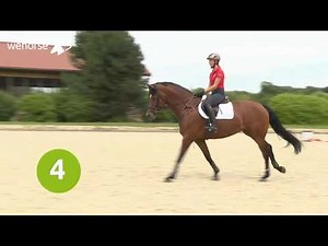 Springreiten lernen - so können Cavaletti dir helfen | Eva Deimel