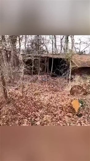 1942 Tractor Revival After 20 Years 🚜🔥 | Turbo tales