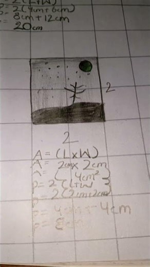 area and perimeter tutorial. #maths #tutorial