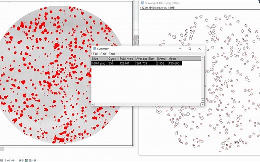 平板克隆image j处理图片 统计数据 作图一条龙手把手新手教程