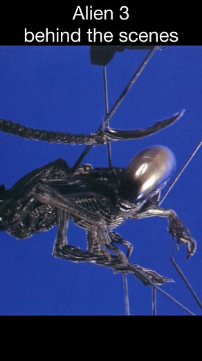 Mariano Arrigo • Argentine curator 🤖🧝‍♀️💀 on Instagram: "Alien 3 (1992) behind the scenes directed by David Fincher. Rod puppets involves a physical puppet operated by rods, often off-camera, to create realistic movement and interaction in scenes where the Xenomorph appears. Rod puppets are particularly effective for achieving a more organic and lifelike portrayal of the creature, especially in close-up or detailed shots, enhancing the horror and tension that the Xenomorph brings to the scree