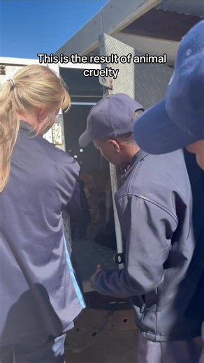 It’s never an easy day at the SPCA when this is what we see again and again. Animals so afraid that all we can do at first is sit with them, quietly and patiently, until they feel safe enough to exist again. And every time, we can’t help but wonder what a human had to do for an animal to reach this point. #fyp #gardenroute #spca #welfare