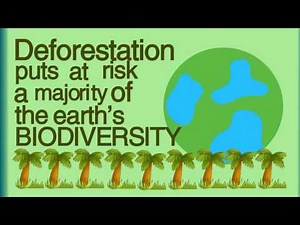 What is Deforestation? Video Lecture - Class 8