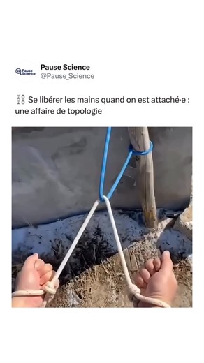 Pause.Science on Instagram: "⬇️ Dans cette vidéo, le système {corde + barre} semble bloqué par un « vrai nœud ». 🔹En réalité, la configuration est topologiquement équivalente à une simple boucle. En effet, par une déformation continue (sans couper, ni détacher), on la transforme en nœud trivial et la corde se libère. 🔹La topologie est la branche des mathématiques qui étudie les propriétés qui ne changent pas quand on étire, tord ou plie un objet sans le couper, ni le recoller. Elle sert à clas