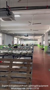 Experts in Explosion-Proof Lighting & Equipment: Safety Illumination for Hazardous Environments