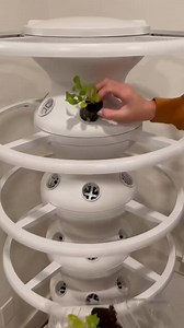 Dream of growing your own food but lack the space or skills? 😔 With Lettuce Grow, you can harvest fresh, nutritious produce right from your home. Our innovative Farmstand is designed for everyone - no backyard or green thumb required. | The Farm Project