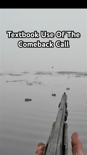 Use This Call When Ducks Are Going Away! #duckhunting #waterfowl #duckcalling