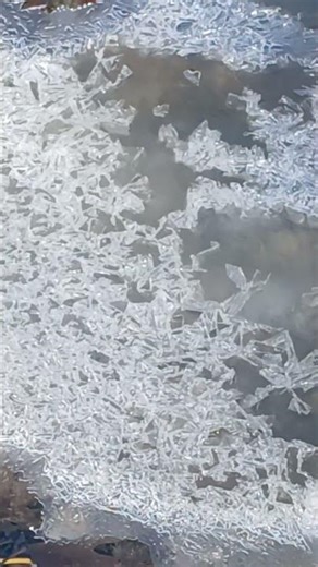 Crystallizing Ice. #oldschoolalaska #nature # icecrystals