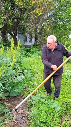 DIY Lawn Mowing in the Garden #gardening #garden #homestead #grasscutting #lawncare #yardwork #short