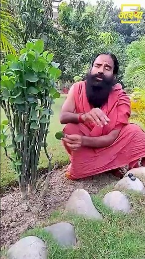 बवासीर (Piles) की अक्सीर दवा || Swami Ramdev