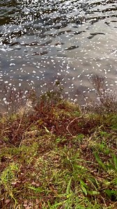 20K views · 1.8K reactions | #glencoe is just beautiful. Do you...