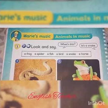 kid's box 2 Marie's music page 60
