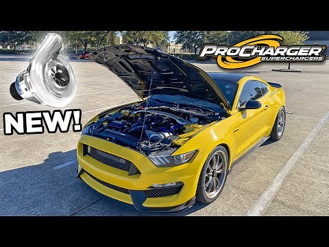NEW 1200HP "P1R" PROCHARGER SUPERCHARGER IS HERE! | Best Shelby GT350 & Mustang GT Supercharger?