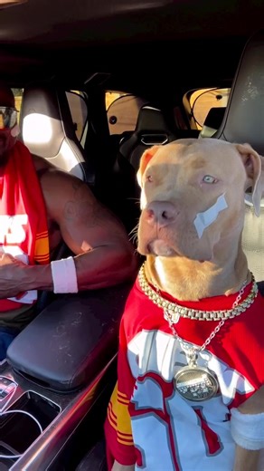 Dog Dancing to Music: A Fun Moment