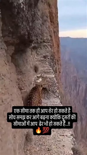 #bollywood #hindisong #coversong #song #shorts #trending #viral #feed #musicgenre #gaane #ra#drama#