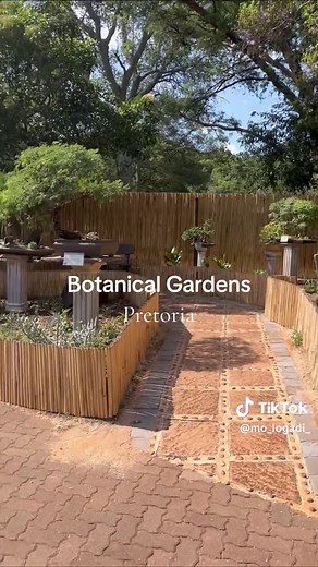 Explore the Stunning Beauty of Pretoria Botanical Gardens