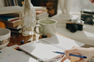 Woman Learning Videos, Download The BEST Free 4k Stock Video Footage & Woman Learning HD Video Clips