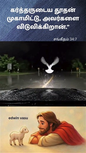 Today Bible Verse || Jesus Songs || Tamil Bible Verses #jesussaves #shortsfeed